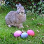 Easter toys recalled