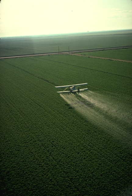 pesticide lawyer | roundup cancer lawyer